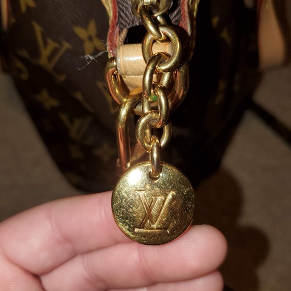 Louis Vuitton Brown Tote Bag with Iconic Monogram Pattern - Picture 14 of 15